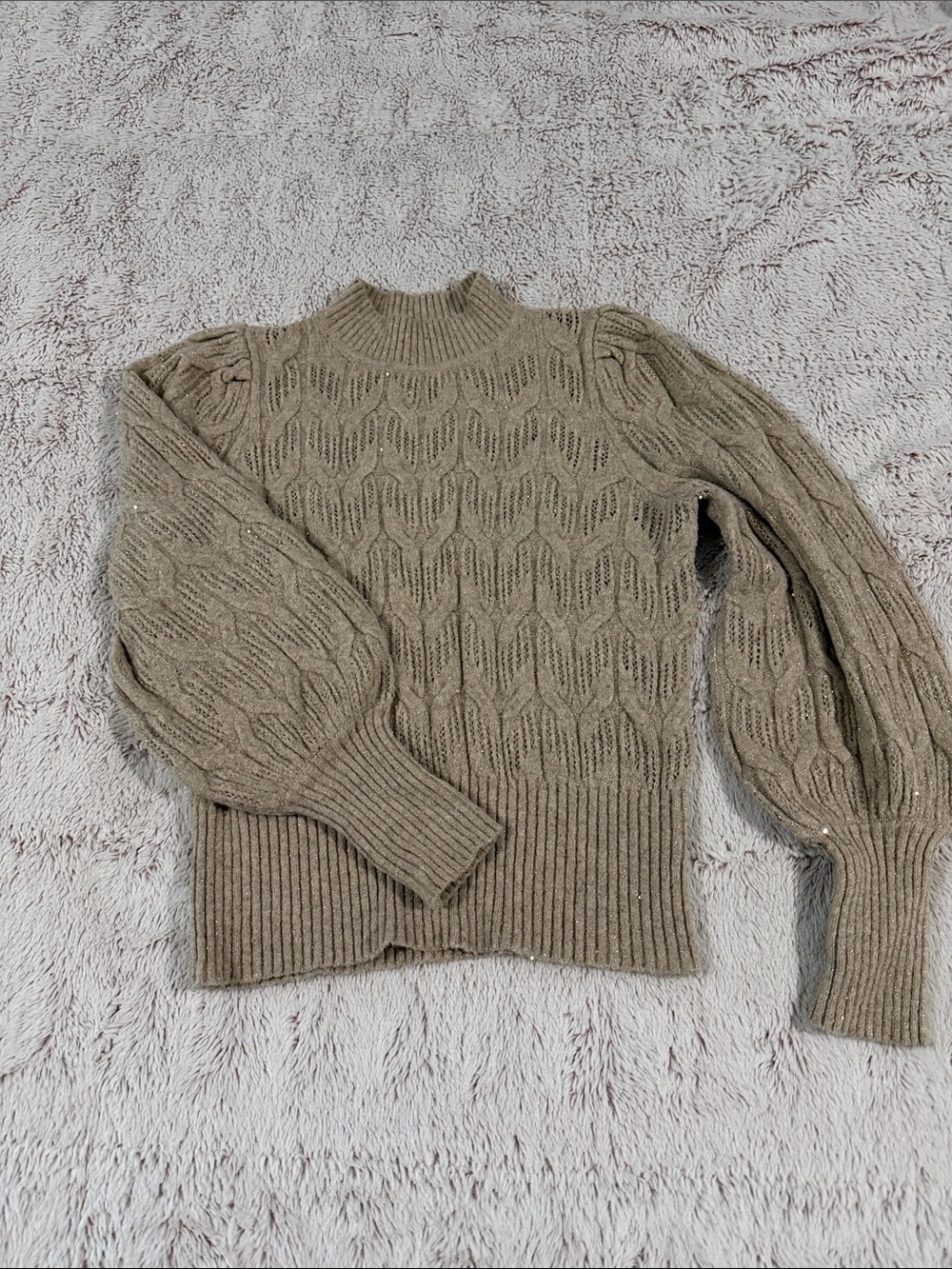 Express Men's Turtleneck Sweater — Beige Taupe
